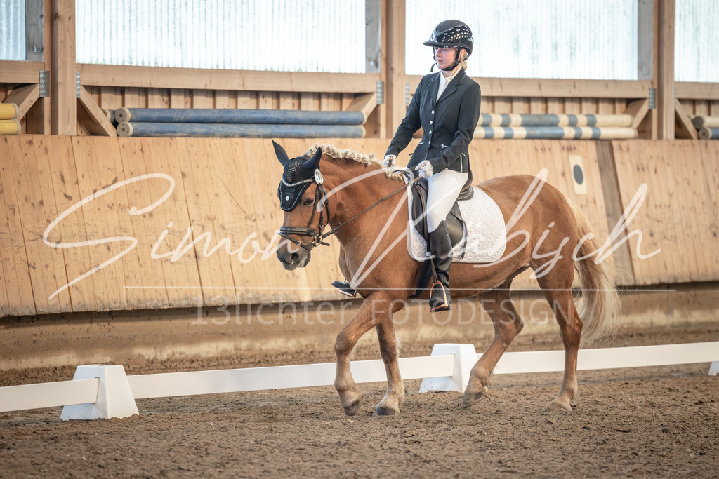 20251011-_3LI6814 | Tierfotografie Pferde, Hunde, Katzen, Haustiere.
Turnierfotografie Reitturniere, Reiten, Springreiten, Dressur in Hanau, dem Main-Kinzig-Kreis und dem Rhein-Main- Gebiet um Frankfurt