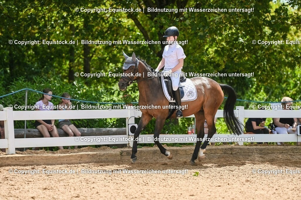20230715_09_Dressur-WB_0413 | equistock