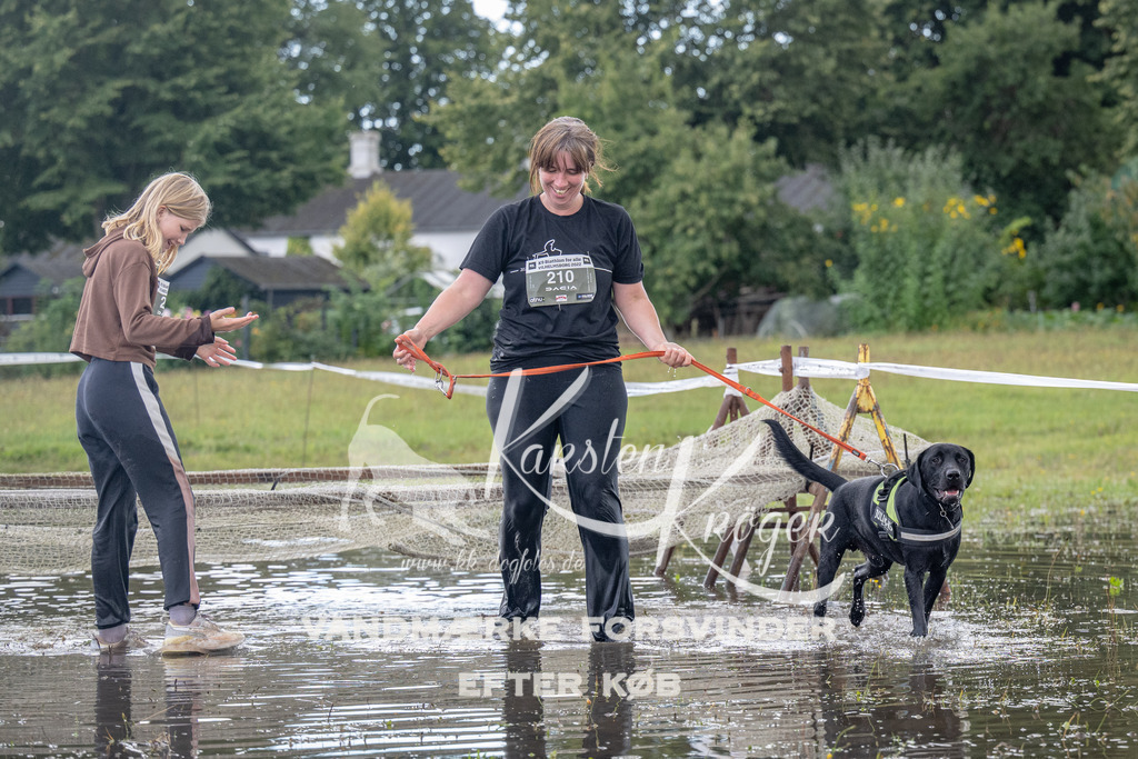1504_ZZ90995 | kk-dogfotos