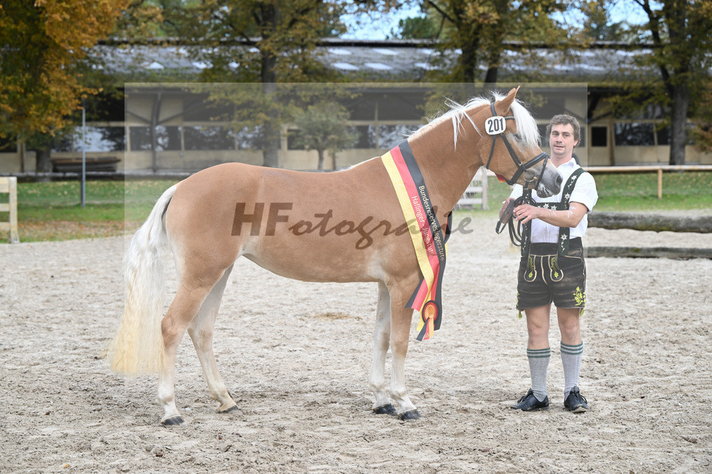 Kat-Nr. 201 Wayana_Aigner_54223481 | hf-fotografie - Realisiert mit Pictrs.com