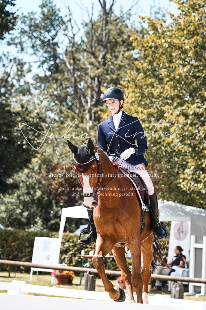 DSC_5537 | Pferde- und Turnierfotografie in Westsachsen. Pferdeportraits, Auftragszeichnungen und intuitive Kunst.