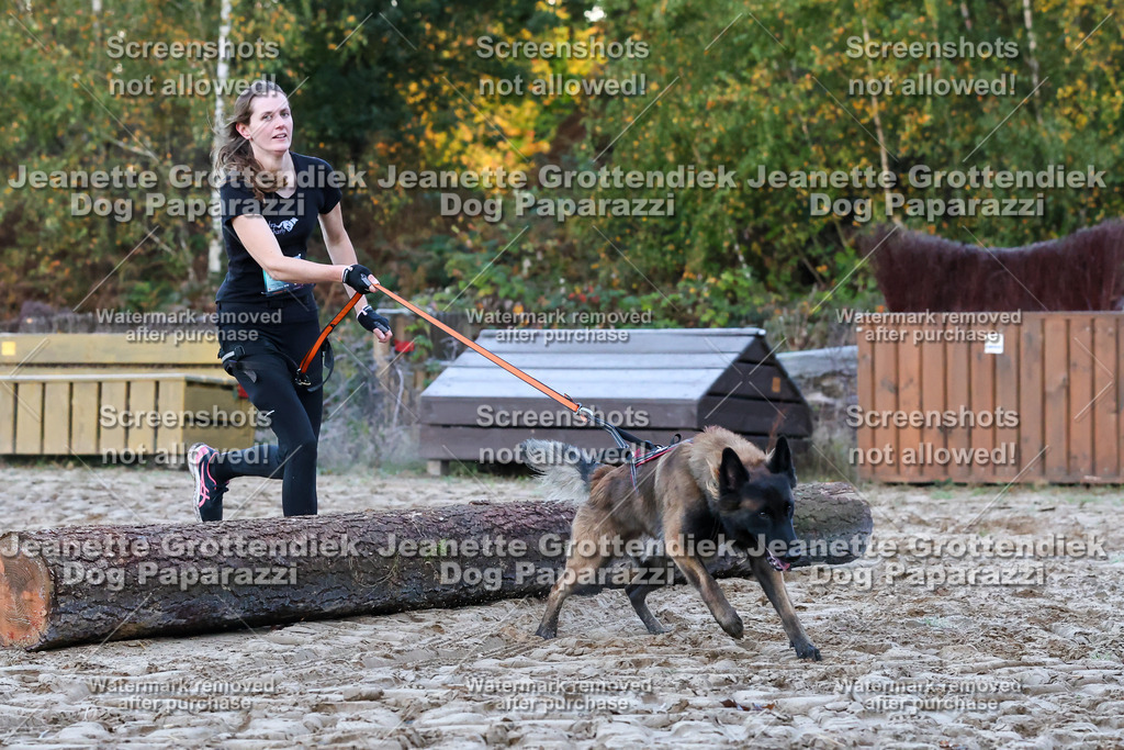 Dog Paparazzi - Strongdog 10-25-72 | Dog Paparazzi Jeanette Grottendiek Fotografie & Videografie - Realisiert mit Pictrs.com