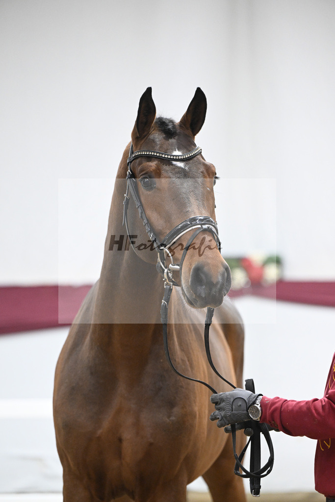 Kat-Nr. 90 Million Dollar x Cash and Carry_Ralf Laubheimer_47253109 | hf-fotografie - Realisiert mit Pictrs.com