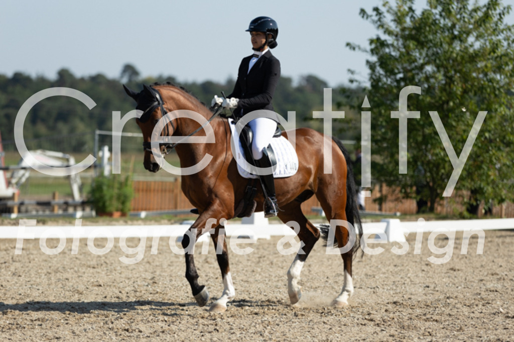 IMG_6007 | Creatify Fotografie