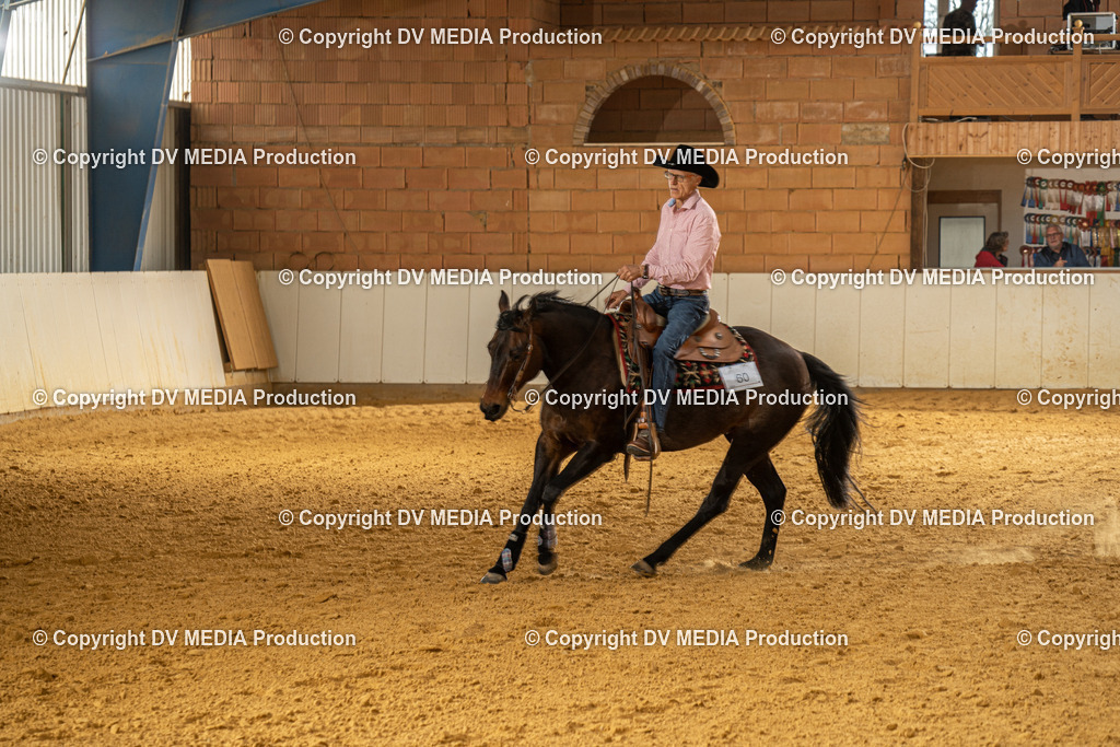 MIT01322 | dv-media-shop - Realisiert mit Pictrs.com