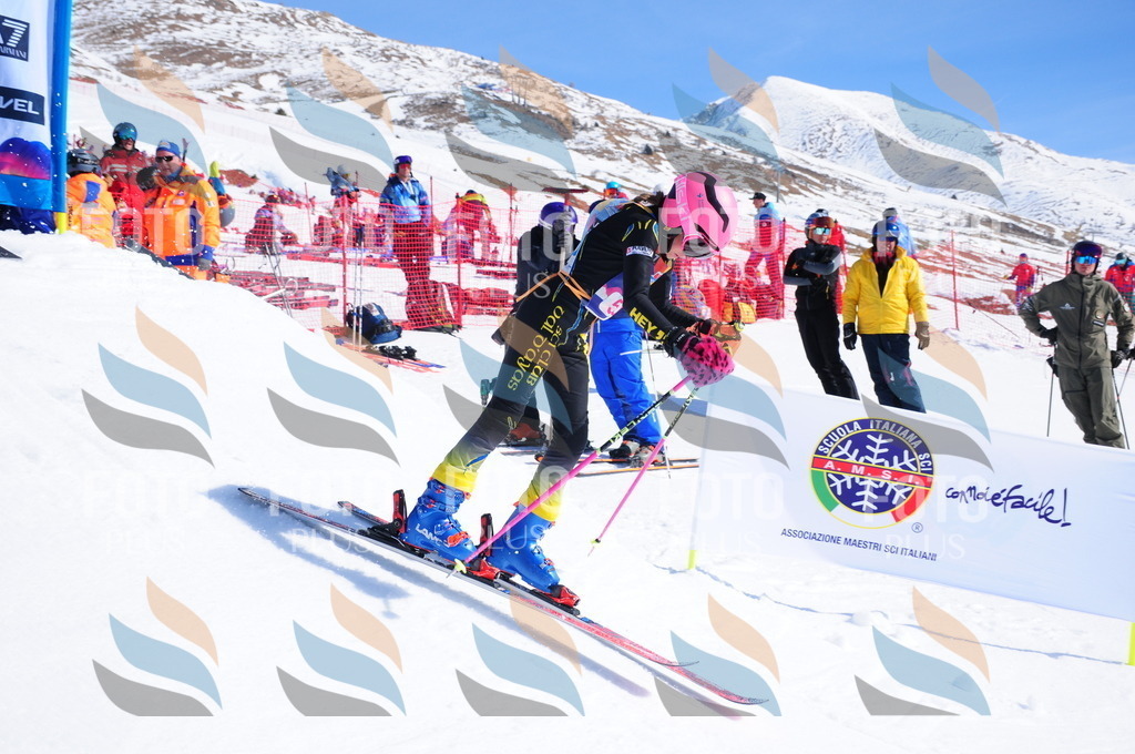 DSC_4190 | holidayphoto