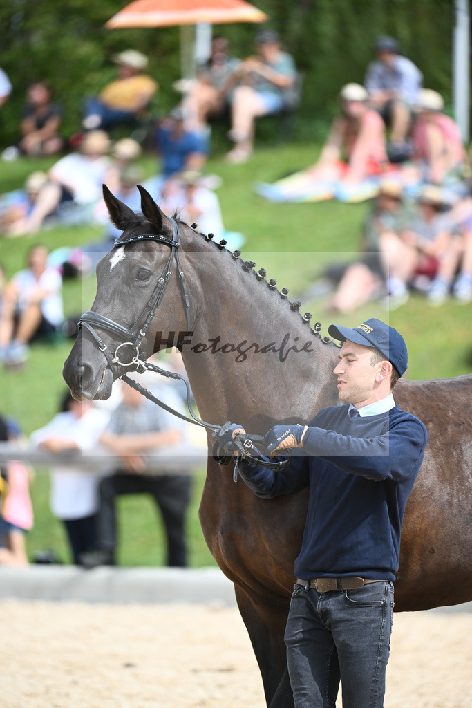 Berufsschaubild Pferdewirt in_36240225 | hf-fotografie - Realisiert mit Pictrs.com