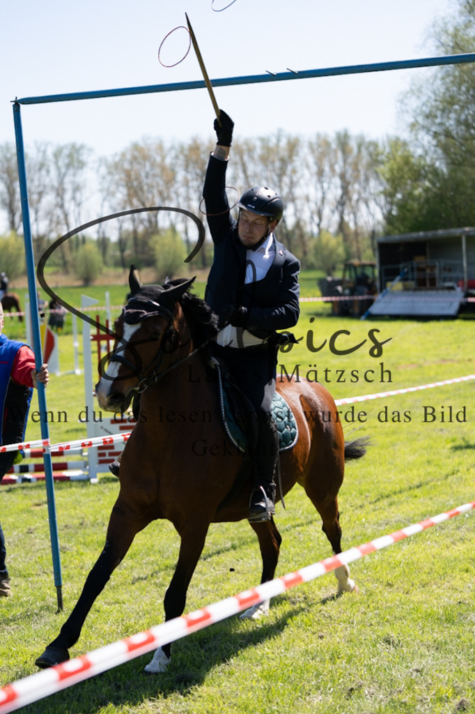 A7V01151 | Pferdefotograf