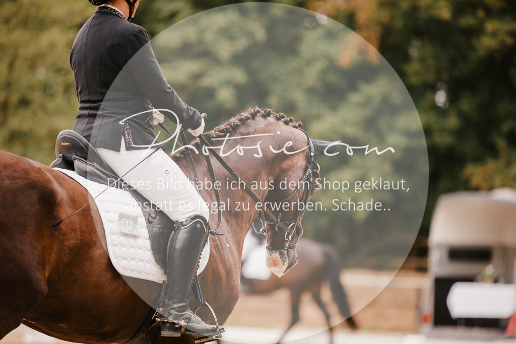 3I6A5860 | Stimmungsvolle Portraits und Reitsportfotografie im Ruhrgebiet und im Münsterland.

Pferdefotografie, Hundefotografie, Tierfotografie, Reportagen, Portraits von Tier und Mensch, Turnierfotografie in Bochum, Recklinghausen, Marl, Haltern am See, Dülmen.. - Realisiert mit Pictrs.com