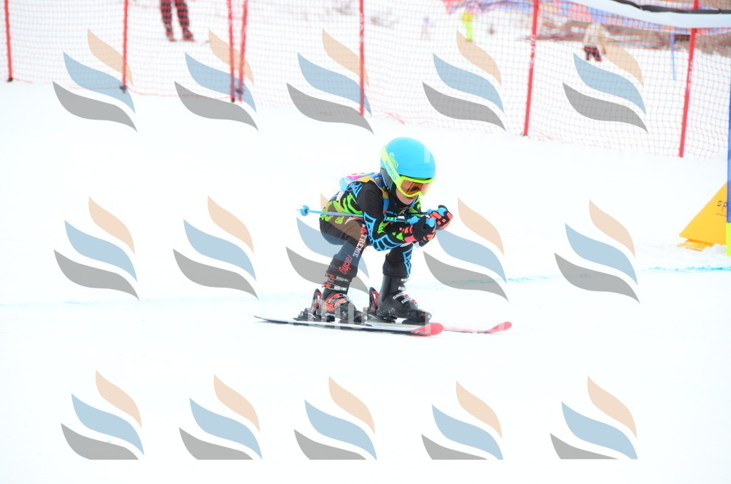 DSC_1853 | holidayphoto