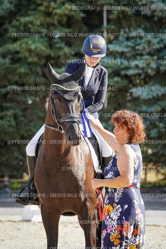 DSC00122 | Pferdegrafie