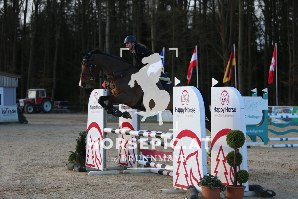 DL2Q7756 | Willkommen bei Brunnmayr - Design & Fotografie – Ihrem Spezialisten für Reitturniere und Pferdeveranstaltungen in Oberösterreich, Salzburg und Bayern! Seit über 17 Jahren sind wir leidenschaftlich dabei.