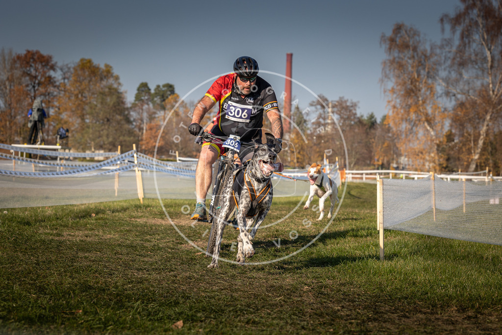 CaniXpix_0L8A8122 | Hundefotografie, Tierfotograf, Pfotenfotografie, Fotoshooting Hund, Hunde Portrait, Hundesport, Hundeportraits, Heideshooting, Hunde, Sportfotograf, Hundefotograf, Turnierhundsport, THS,  - Realisiert mit Pictrs.com