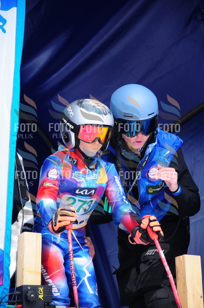 DSC_2610 | holidayphoto