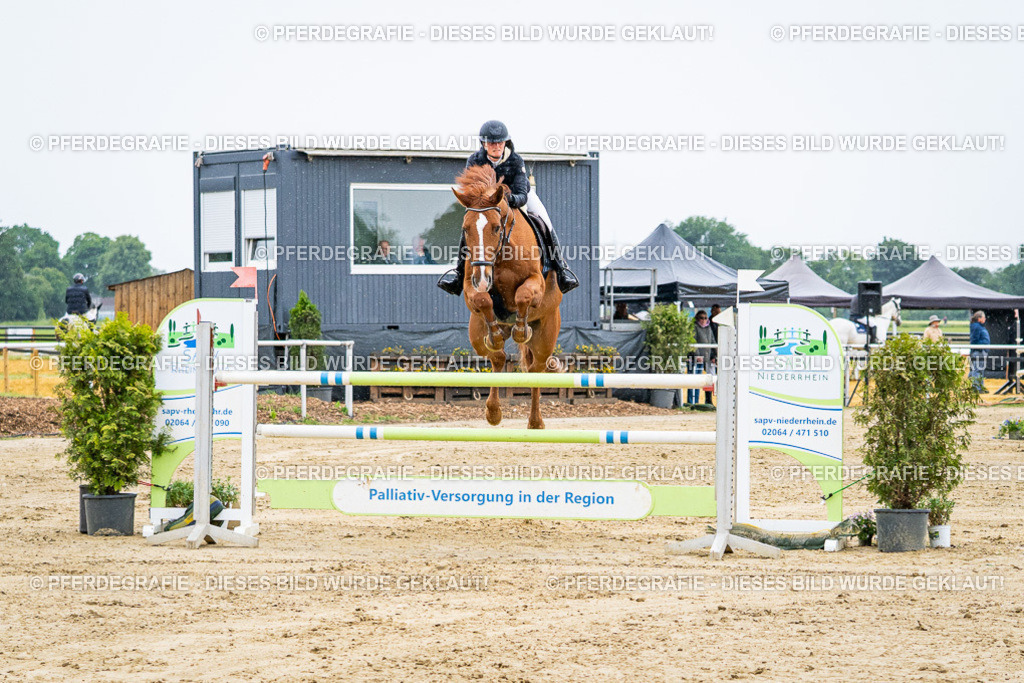 DSC08059 | Pferdegrafie