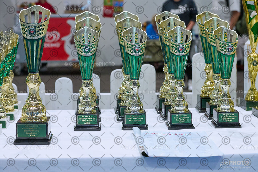 202406_ÖKV-IHA-Tulln24_DSC_3535 | proPHOTO - Realisiert mit Pictrs.com