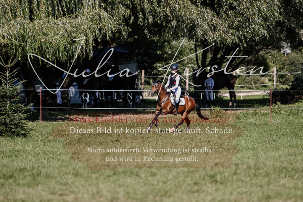 DSC_2943 | Pferde- und Turnierfotografie in Westsachsen. Pferdeportraits, Auftragszeichnungen und intuitive Kunst.