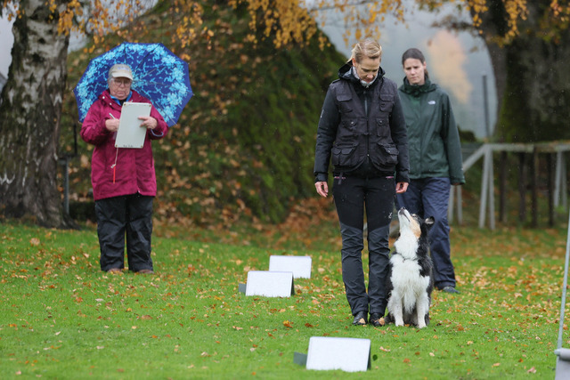 2025_Rally_Obedience_SM-12 | Ich fotografiere Hundeausstellungen, Sportanlässe, Zuchtstätten, Hundezucht, Hundeportrait, Lagotto - Realisiert mit Pictrs.com