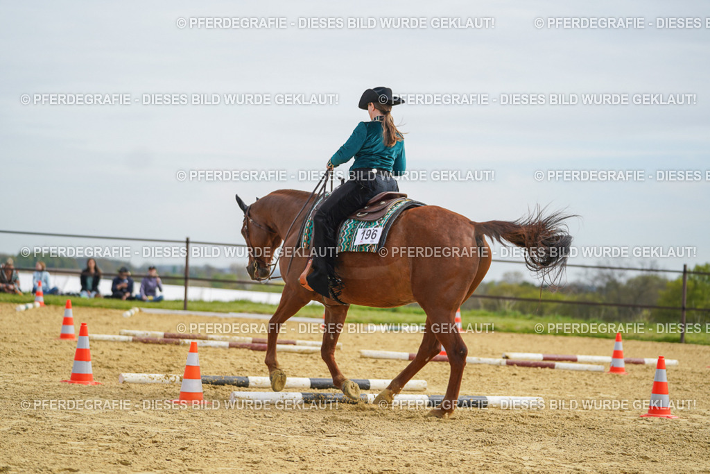 DSC03652 | Pferdegrafie