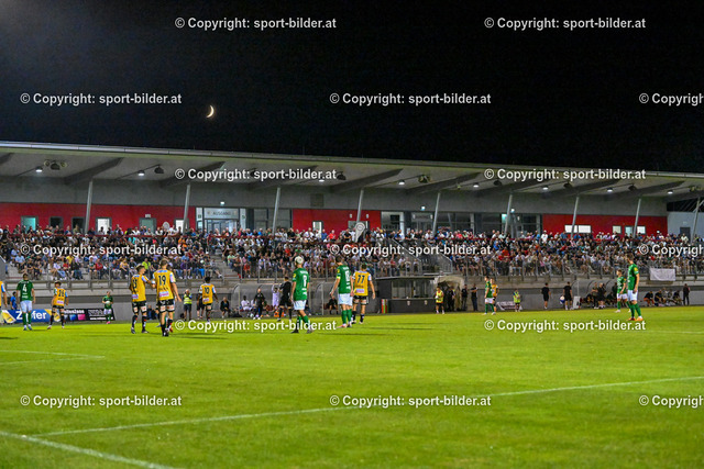 AUT, SPG WSC Hertha / FC Wels vs SV Ried | 22.07.2023, Huber Arena Wels, AUT, OEFB Uniqa Cup, SPG WSC Hertha / FC Wels vs SV Ried, im Bild Fans – Zuschauer WSC Hertha Wels (WSC Hertha)



// OEFB Uniqa Cup Match between SPG WSC Hertha / FC Wels vs SV Ried in Wels, Austria on 2023/07/22