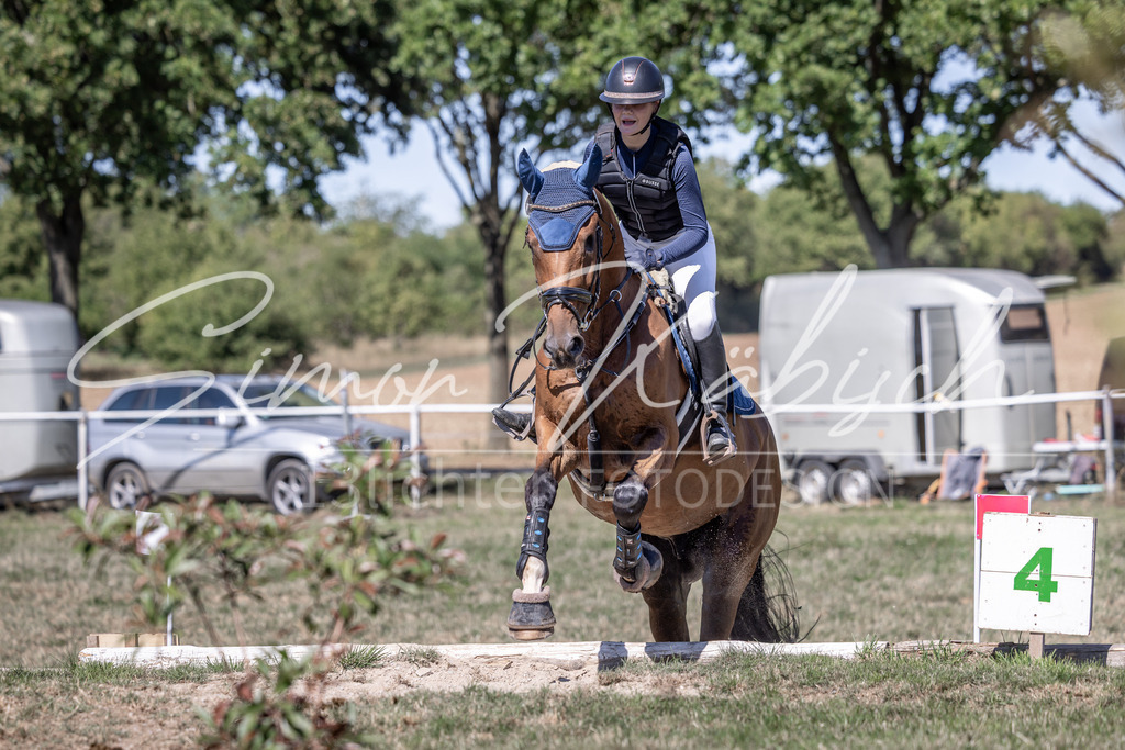 20260906-_3LI3891 | Tierfotografie Pferde, Hunde, Katzen, Haustiere.
Turnierfotografie Reitturniere, Reiten, Springreiten, Dressur in Hanau, dem Main-Kinzig-Kreis und dem Rhein-Main- Gebiet um Frankfurt