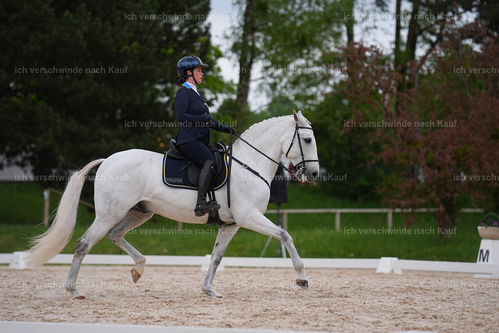 PI26_DR_263_StoibphotographySIN00666.jpg | working equitationturnier fotograf videograf stoibphotography marixx film working equitation deutschland reitsport turnierfotografie eventfotografie equestrian events