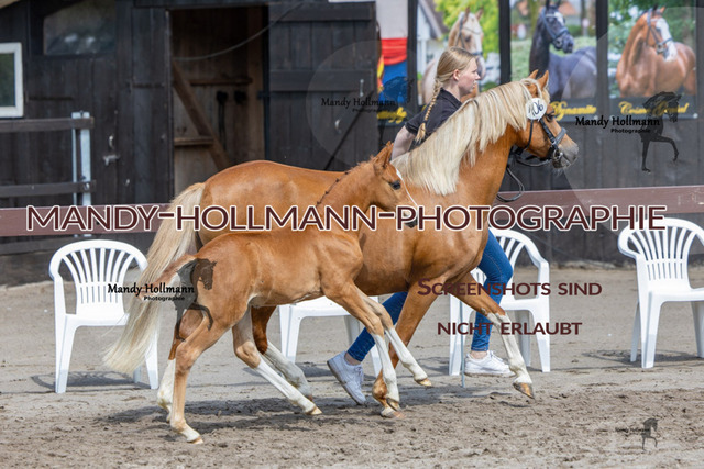 _MG_7258 | mandyhollmannphotographie