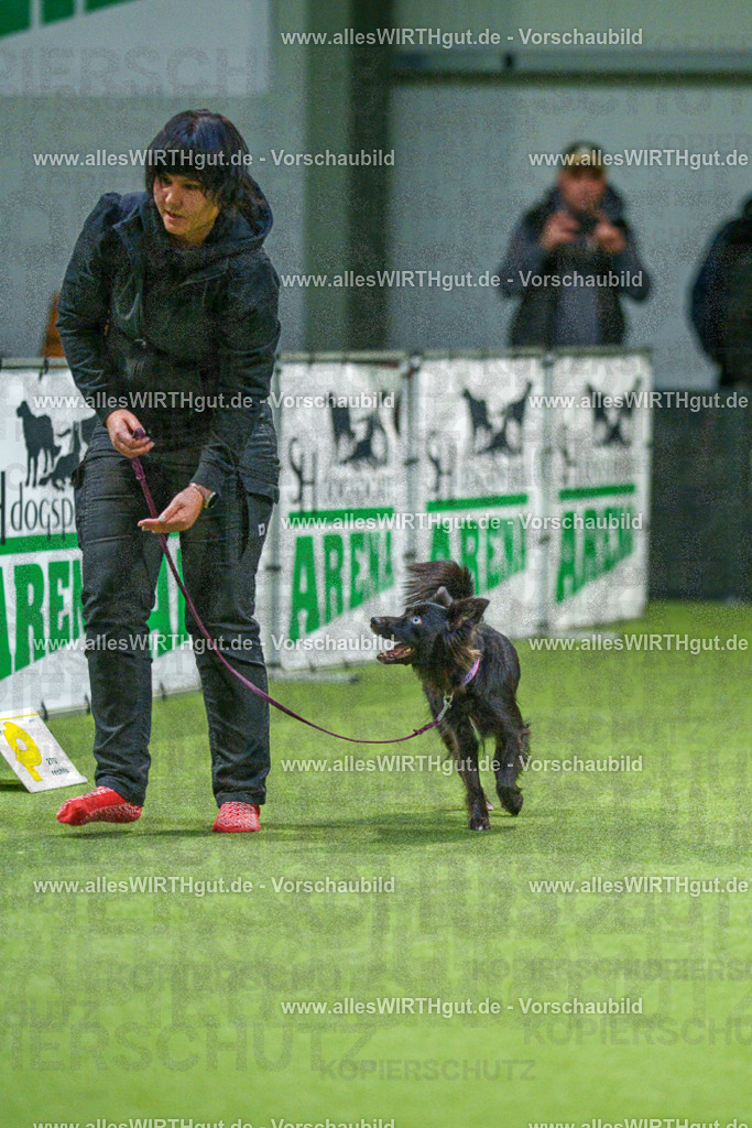 7R505750 | Professionelle Tierfotografie in Mönchengladbach von Daniel Wirth (allesWIRTHgut). Liebevolle & natürliche Bilder von Hunden & Katzen für unvergessliche Erinnerungen.