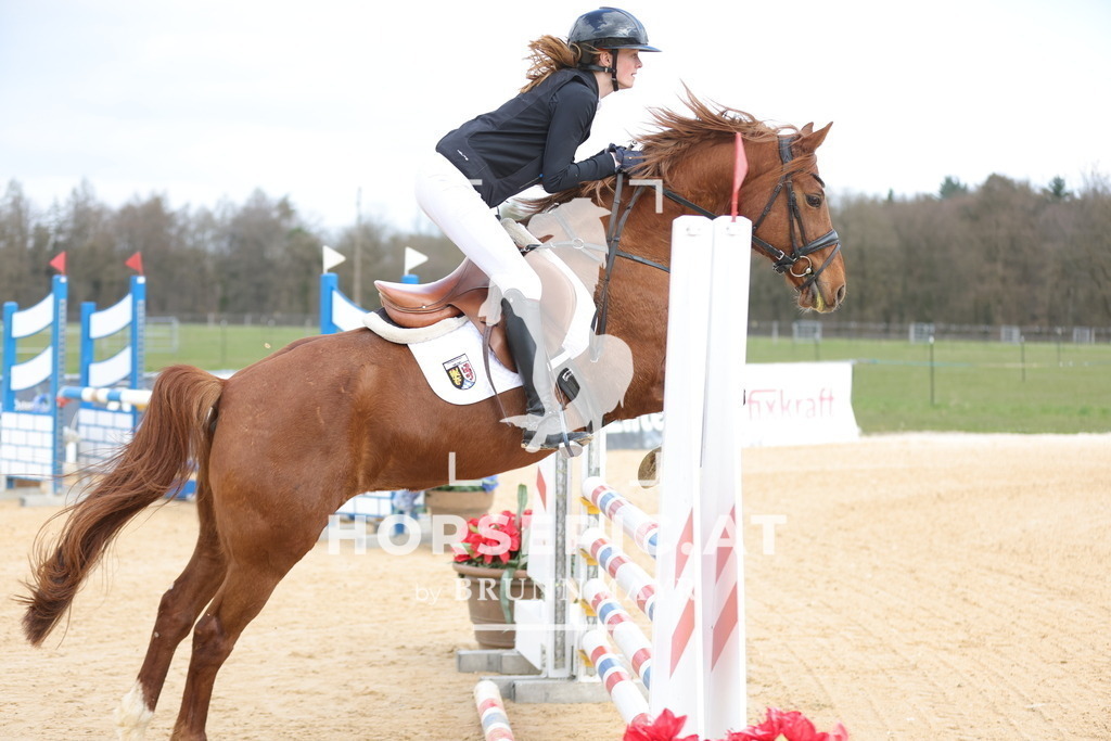 0P6A8096 | Willkommen bei Brunnmayr - Design & Fotografie – Ihrem Spezialisten für Reitturniere und Pferdeveranstaltungen in Oberösterreich, Salzburg und Bayern! Seit über 17 Jahren sind wir leidenschaftlich dabei.