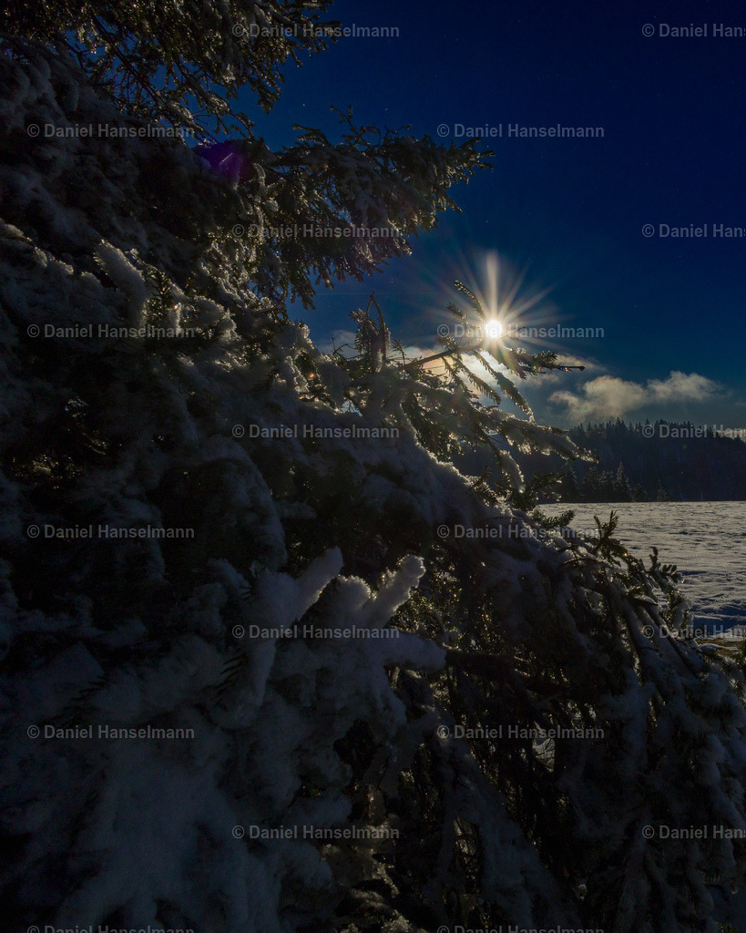 IMG_1094 | Hier finden Sie Poster, Leinwandfotos sowie viele weitere Fotoprodukte mit Motiven aus dem Schwarzwald, aus Freiburg und dem Kaiserstuhl zum Download und zum Bestellen.  - Realisiert mit Pictrs.com