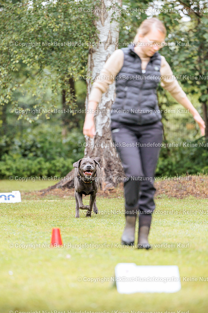 RO-Blumenthal-2026-Nickbest-Hundefotografie-1007 | Dein Hund! Dein Moment! Deine Erinnerungen! Hundefotografie in Bremen Blumenthal. Ich fange die besonderen Momente deines Vierbeiners ein – ob Indoor mit Blitzanlage oder in der freien Natur. Sicher dir dein Moment und dein Termin für eure Erinnerungen.