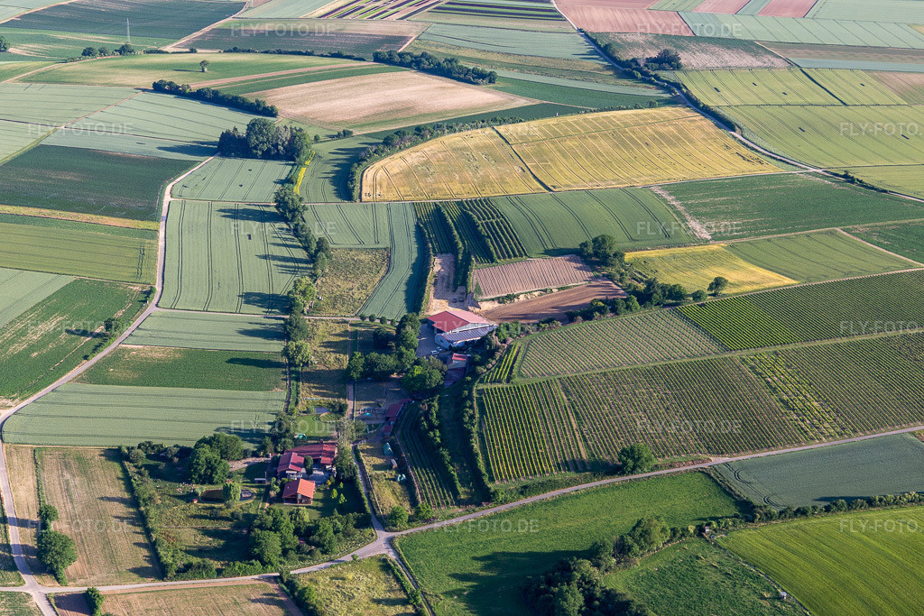 Luftbild: Obsthof Zirker KG in Herxheim bei Landau im Bundesland Rheinland-Pfalz in Deutschland. Foto: IMG_132307.jpg vom 03.06.2022 durch Werner Riehm/FLY-FOTO.deWWW.FRUITFARMER.DE