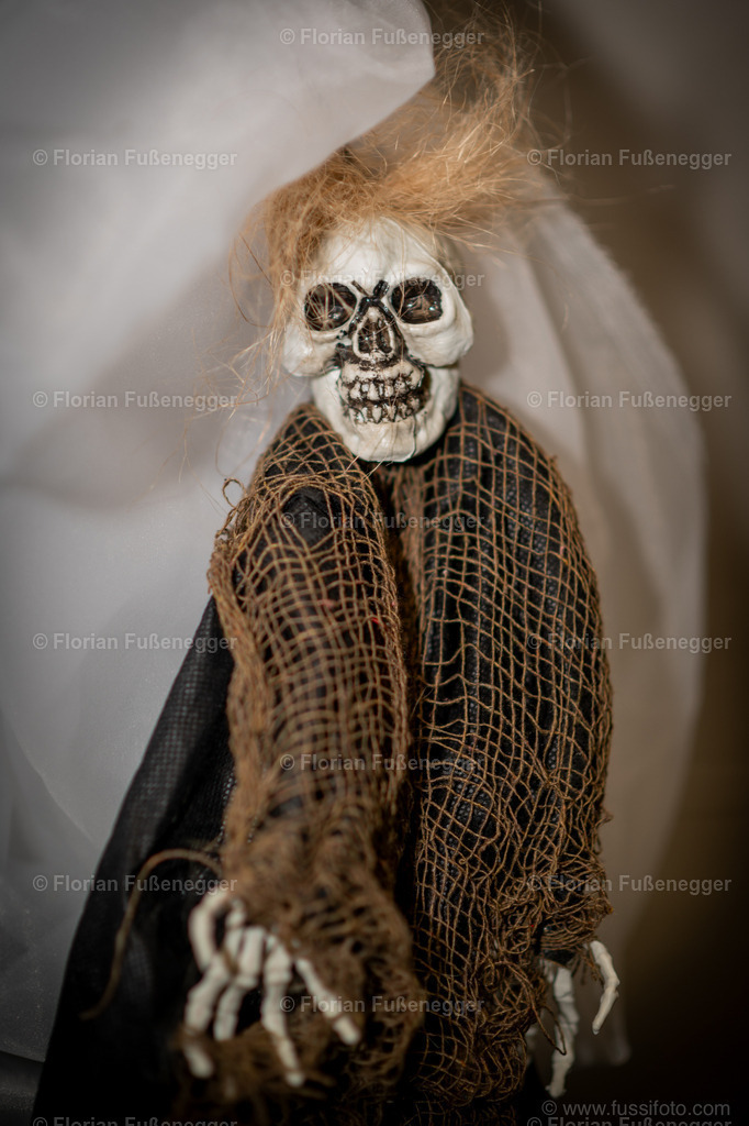 Halloween-26 | "Fussifoto.com – Ihr Ansprechpartner für hochwertige Fotografie! Entdecken Sie kreative Bilder und professionelle Dienstleistungen. Kontaktieren Sie uns für Ihre Projekte!"