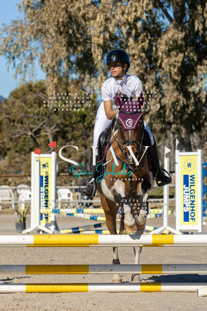 IMG_8259 | s-jay-photography - Realisiert mit Pictrs.com