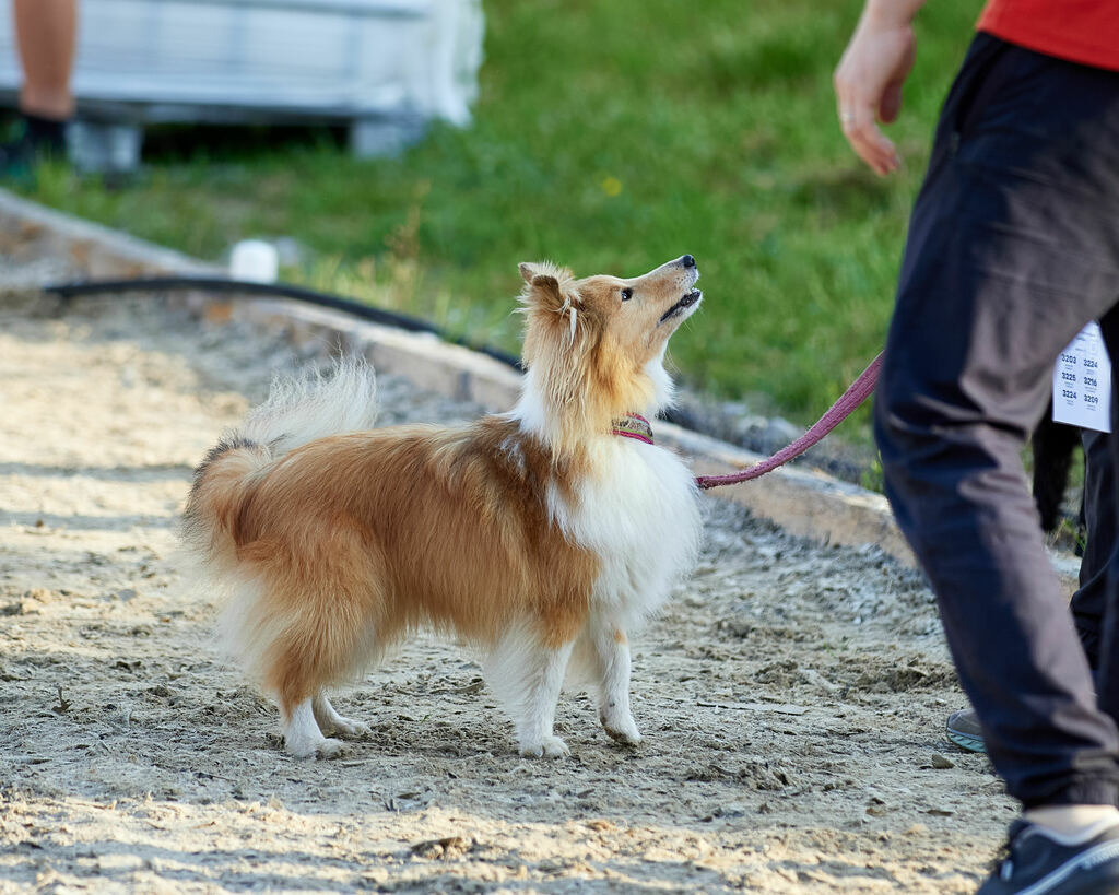 580A0029 | Peter Fridle Fotografie - Realisiert mit Pictrs.com