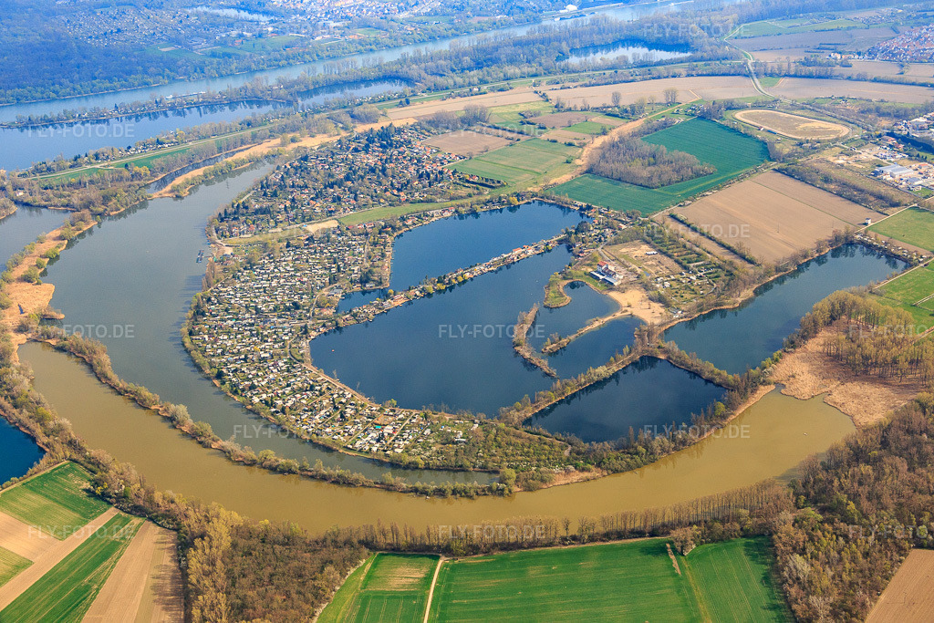 Luftbild: Naherholgunsgebiet Blaue Adria mit Schwanenweiher und Jägerweiher in Altrip im Bundesland Rheinland-Pfalz in Deutschland. Foto: IMG_076907.jpg vom 12.04.2015 durch Werner Riehm/FLY-FOTO.de