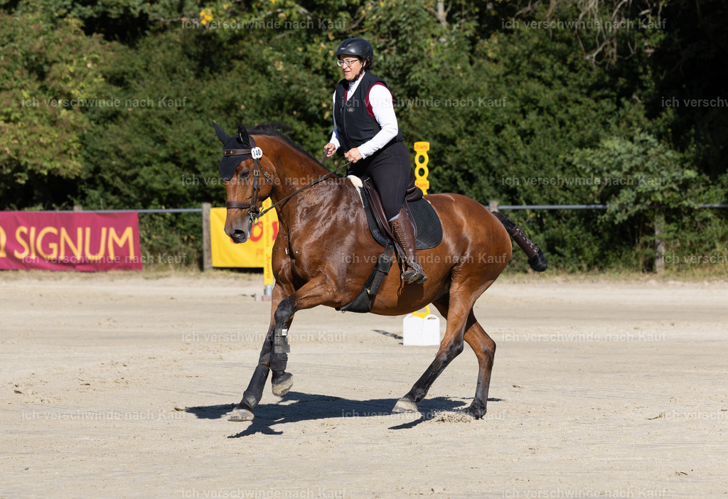 WL_Speed_140_KerstinBernhardt-10 | working equitationturnier fotograf videograf stoibphotography marixx film working equitation deutschland reitsport turnierfotografie eventfotografie equestrian events