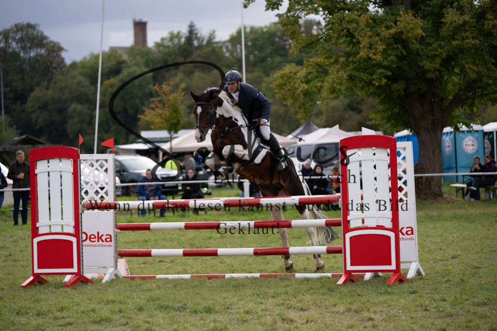 A7V07282 | Pferdefotograf