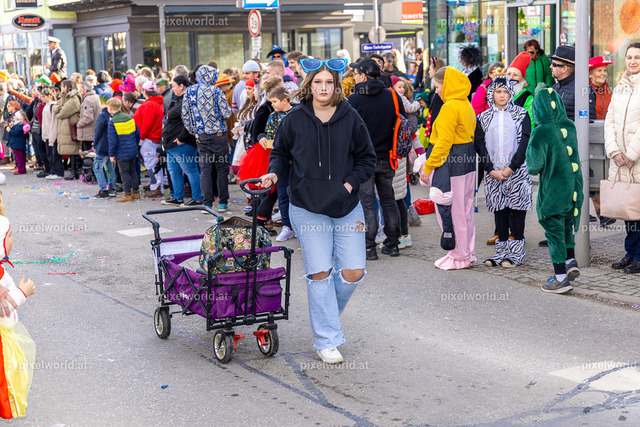 Faschingsumzug Feldkirchen | Bildershop von pixelworld.at - Realisiert mit Pictrs.com