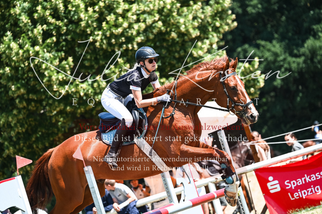 DSC_0478 | Pferde- und Turnierfotografie in Westsachsen. Pferdeportraits, Auftragszeichnungen und intuitive Kunst.