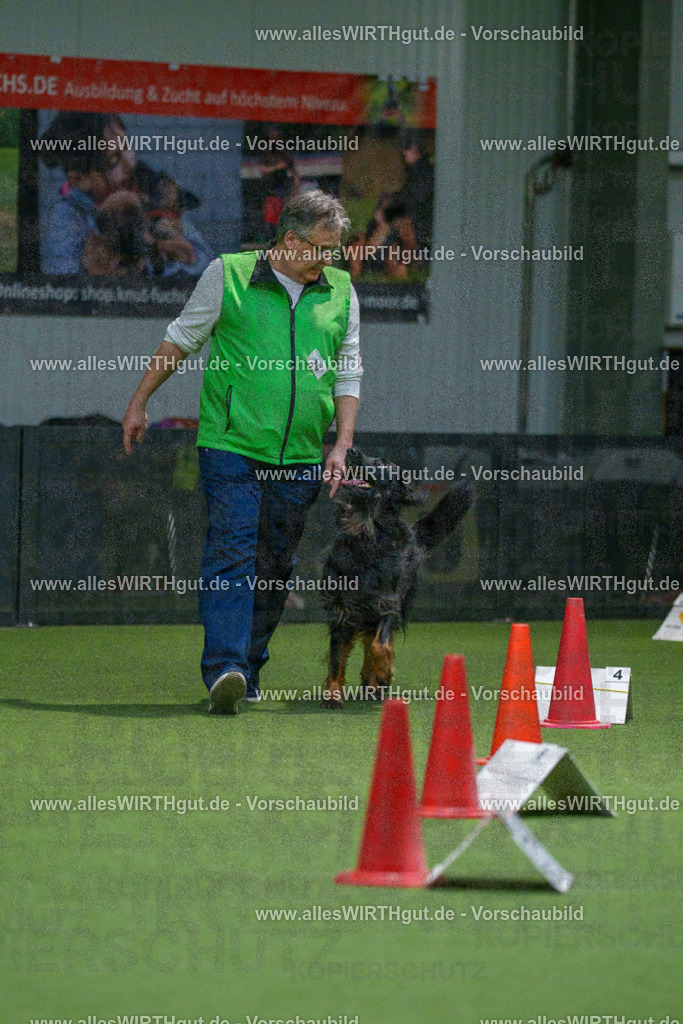 7R505340 | Professionelle Tierfotografie in Mönchengladbach von Daniel Wirth (allesWIRTHgut). Liebevolle & natürliche Bilder von Hunden & Katzen für unvergessliche Erinnerungen.