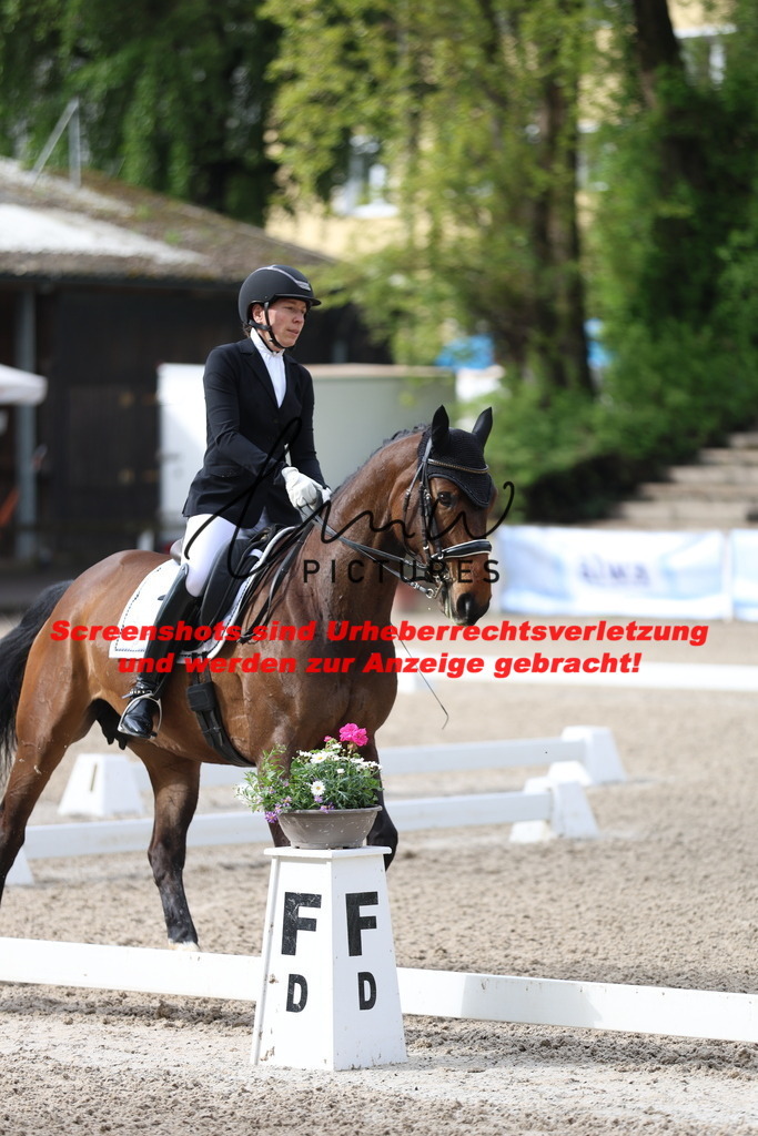 A40A0244 | lmwpictures - Realisiert mit Pictrs.com