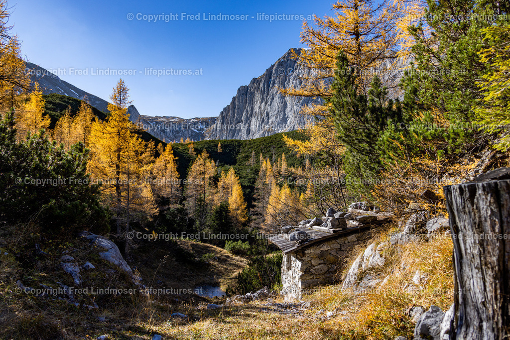 Kastenriegel Graualm Rundtour ueber Rosshoelle Bschlagstatt_Hohe Weichsel Hochschwabgebiet 27102021-0693 | Fotos und Fotoprodukte - Realisiert mit Pictrs.com