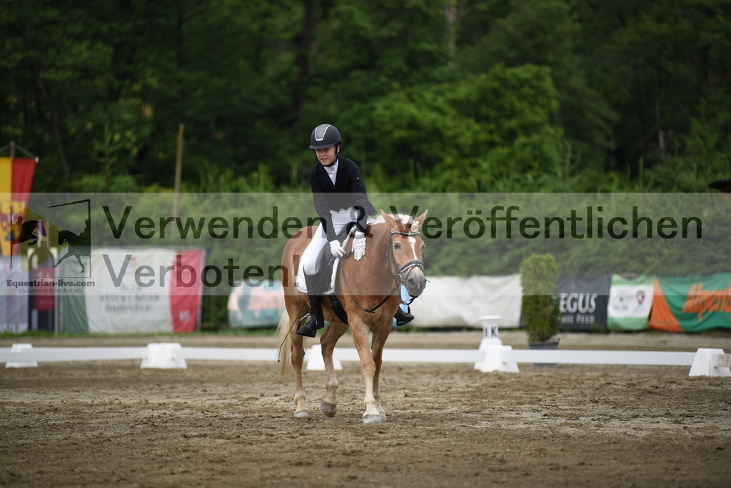 DSC_8169 | equestrian-live-com