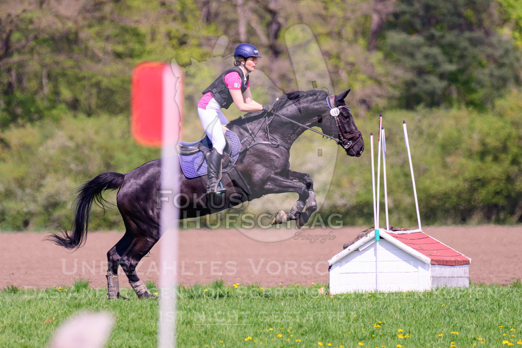 18042026-Gernlinden-01-2-0169 | Fokus Hufschlag Fotografie - Realisiert mit Pictrs.com