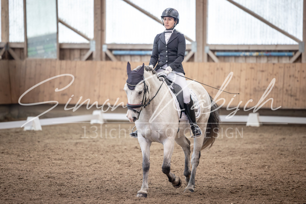 20251011-_3LI0549 | Tierfotografie Pferde, Hunde, Katzen, Haustiere.
Turnierfotografie Reitturniere, Reiten, Springreiten, Dressur in Hanau, dem Main-Kinzig-Kreis und dem Rhein-Main- Gebiet um Frankfurt