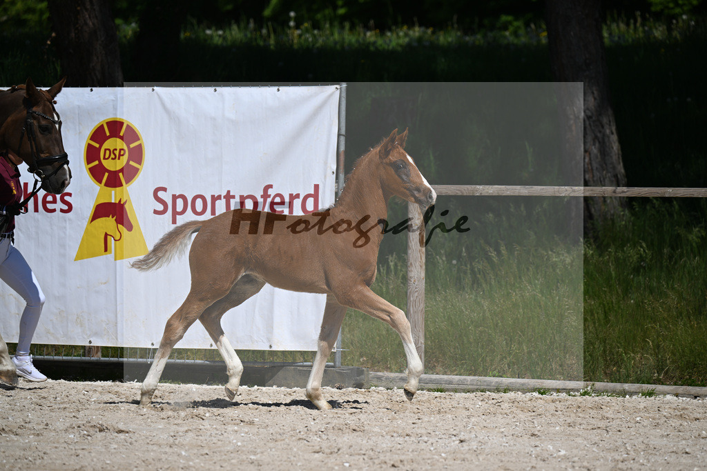 Don Schufro x Don Massimo_HF_Aumer_10250152 | hf-fotografie - Realizzato con Pictrs.com