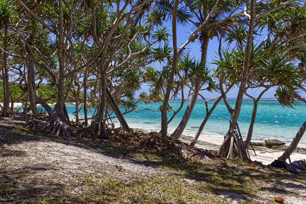 1H5A4471a | ansichtssache