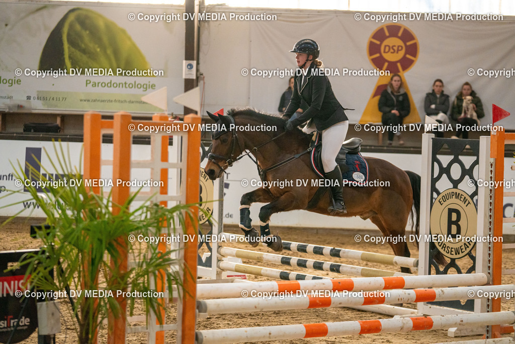 Kranichstein Tag 2-1085 | dv-media-shop - Realisiert mit Pictrs.com