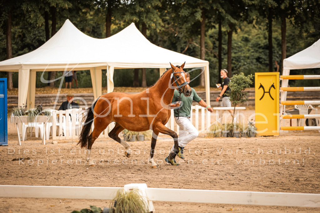 08.So00029 | Leoni Ertmer Photography - Realisiert mit Pictrs.com